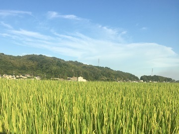 山下農場-2
