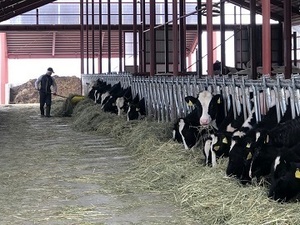 北海道下川町×酪農/法人【36522】-top