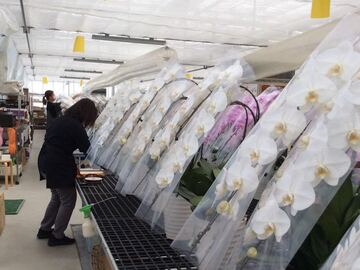 永淮株式会社-3