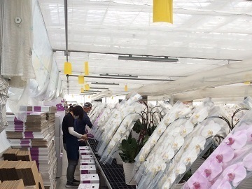 永淮株式会社-5