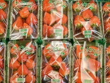 香川県観音寺市×施設野菜/法人【43149】-3