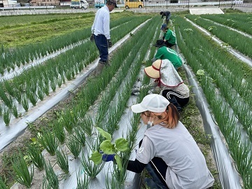 とらこ株式会社-1