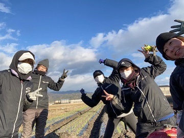 とらこ株式会社-2