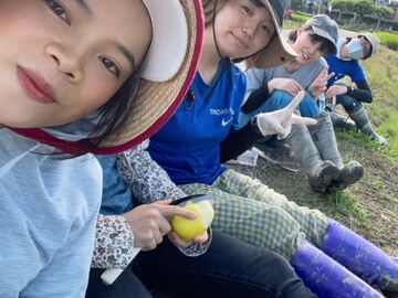 とらこ株式会社-3