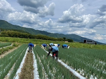 とらこ株式会社-5