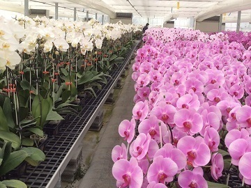 永淮株式会社-1