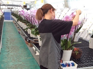 永淮株式会社-4