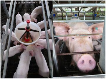 有限会社永渕ファームリンク-2