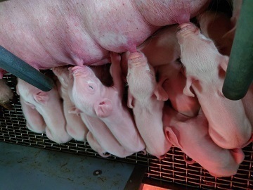 有限会社永渕ファームリンク-4