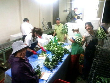 伊藤農場(北海道広尾郡)-2