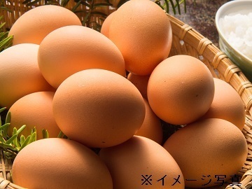 三重県鈴鹿市×養鶏/法人【36732】-top