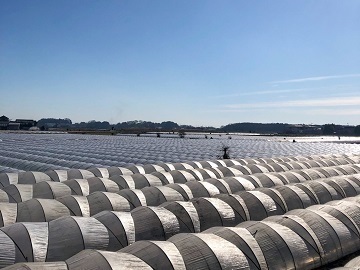 株式会社ひじや農園-3