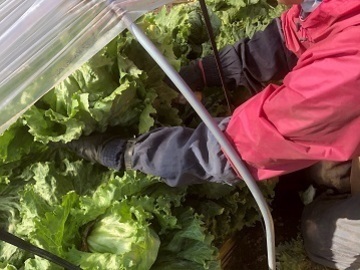 株式会社ひじや農園-5