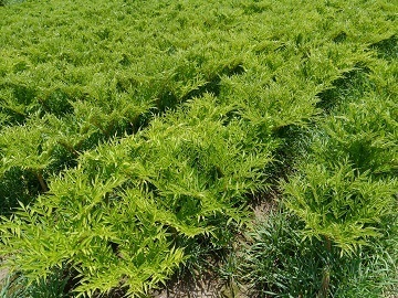 戸塚ファーム-1