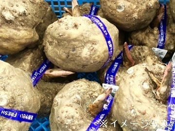 戸塚ファーム-5