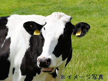 北海道新得町×肉牛/法人【1820】-1