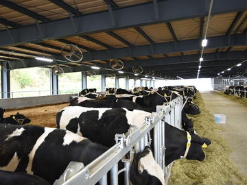 瀬戸内メイプルファーム株式会社(大黒天物産グループ)-top