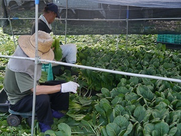 株式会社ツノダファーム-3