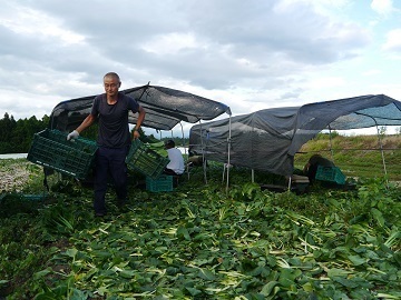 株式会社ツノダファーム-4