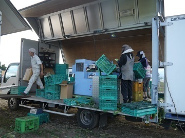 株式会社ツノダファーム-5