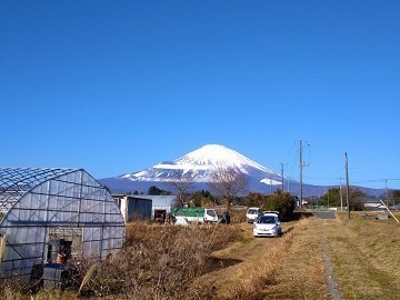 株式会社鈴木農園(掛川市)-1