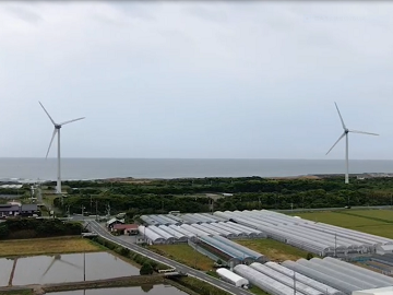 株式会社鈴木農園(掛川市)-5