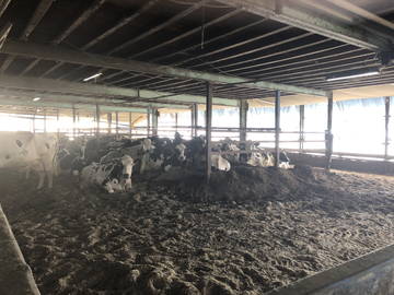 株式会社野瀬牧場-3