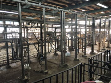 株式会社野瀬牧場-5