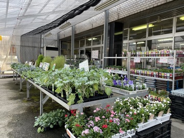 不二種苗株式会社-3