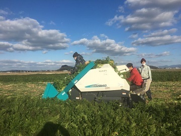 福岡県福岡市×水稲・野菜/法人【36958】-2