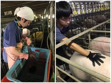 有限会社増田ファーム-3