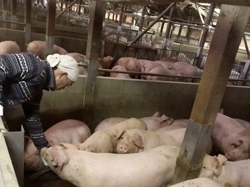 有限会社増田ファーム-6