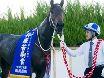 園田競馬場　尾林厩舎-2