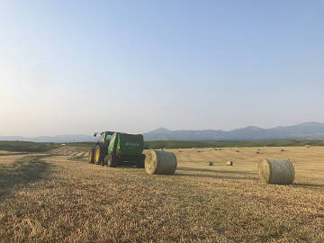 有限会社阿部牧場(熊本県)【2027年新卒・28年新卒・中途者】-1