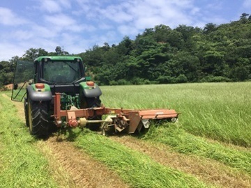 梅田農場-2
