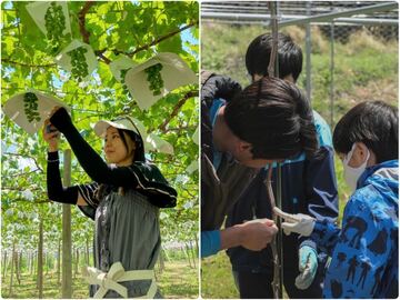 株式会社GREENCOLLAR-4