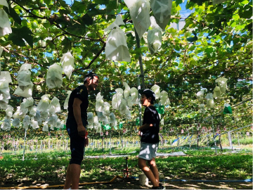 株式会社GREENCOLLAR-1