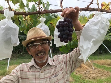 株式会社GREENCOLLAR-6