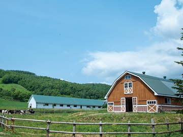 北海道赤井川村×乳製品加工・養豚/法人【43031】-1