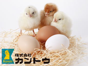 株式会社カントウ-3