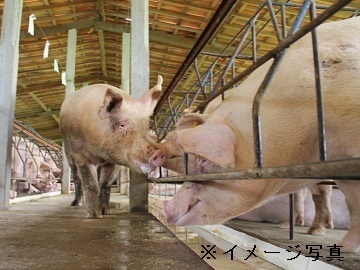 宮崎県川南町×養豚/法人【37413】-1