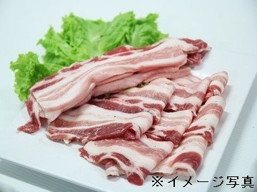 宮崎県川南町×養豚/法人【37413】-2