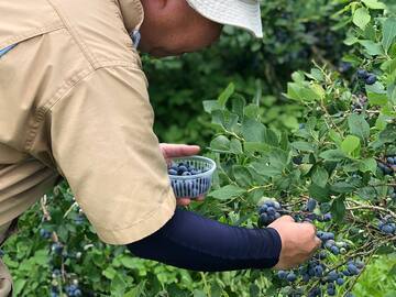 ナチュベリーズ 安曇野自然農園-2