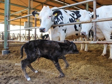 株式会社ゆうあいファーム-2