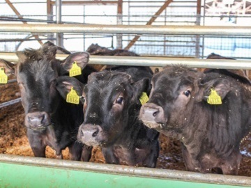 株式会社ゆうあいファーム-4