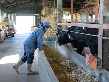 農業生産法人千成亭ファーム-3