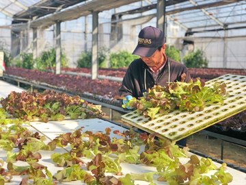 グリーンファクトリーコヅカ-2