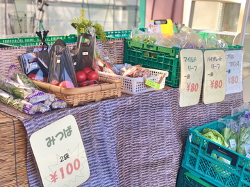 グリーンファクトリーコヅカ-5