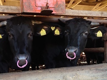 株式会社榊原-1