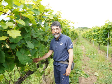 能登地区農業インターンシップ研修　世界農業遺産にも認定されている「能登の里山里海」で農業を体験してみませんか？-5